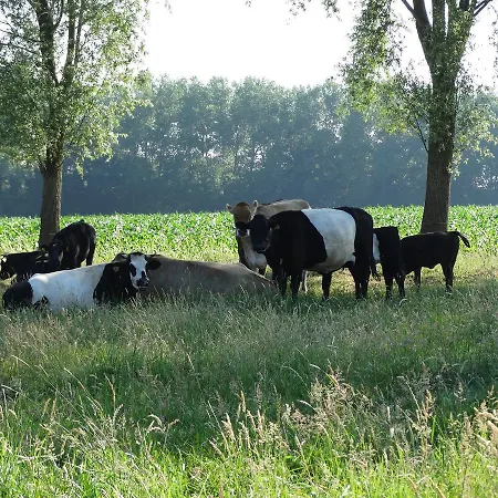 De Erfdijk